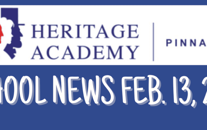 pinnacle-newsletter-header-91224-16