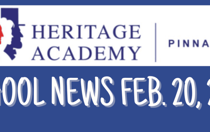 pinnacle-newsletter-header-91224-17