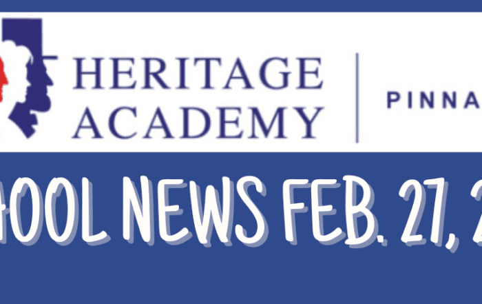pinnacle-newsletter-header-91224-18