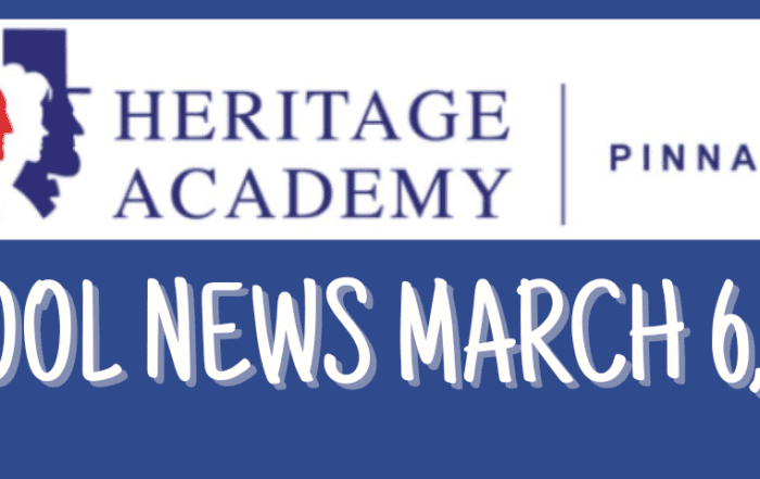 pinnacle-newsletter-header-91224-19