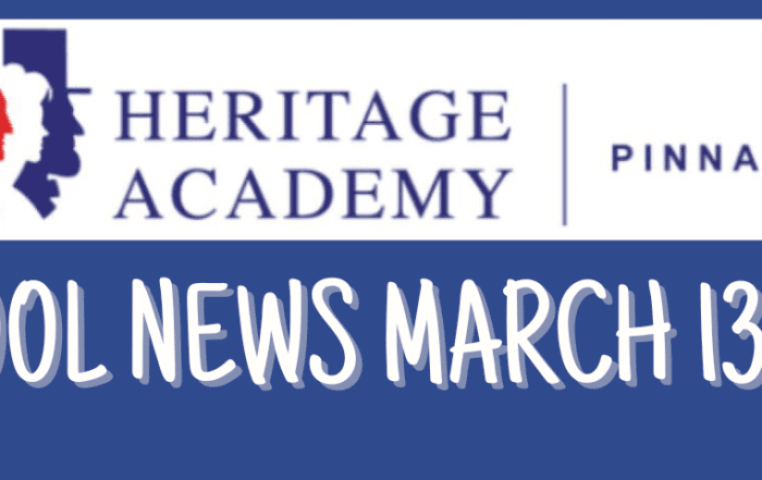 pinnacle-newsletter-header-91224-20