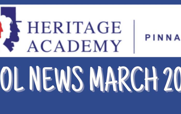 pinnacle-newsletter-header-91224-21