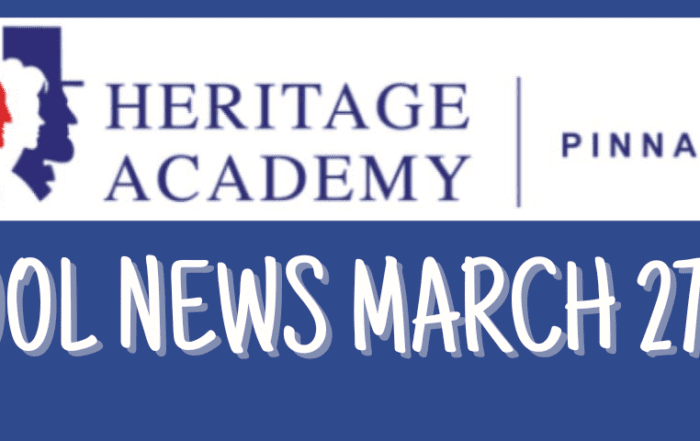 pinnacle-newsletter-header-91224-22