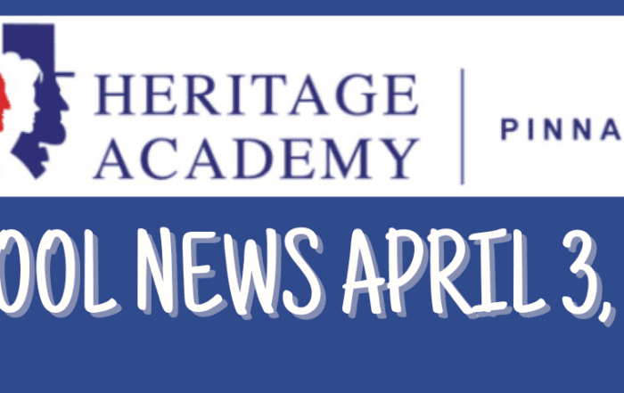 pinnacle-newsletter-header-91224-23