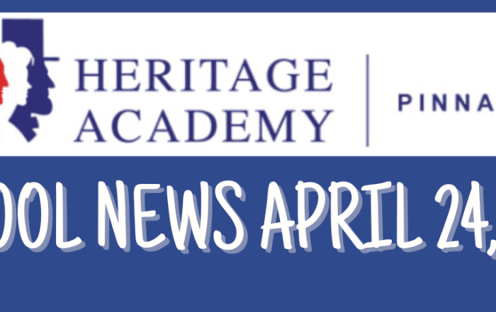 pinnacle-newsletter-header-91224-27