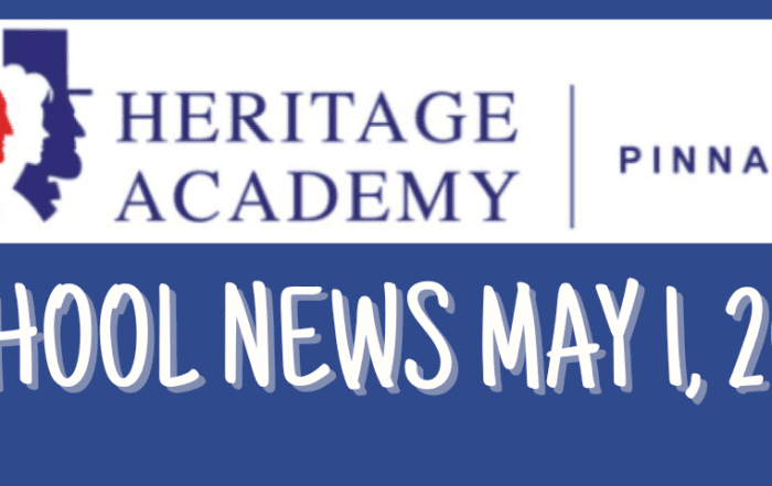 pinnacle-newsletter-header-91224-28