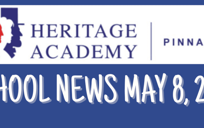 pinnacle-newsletter-header-91224-31
