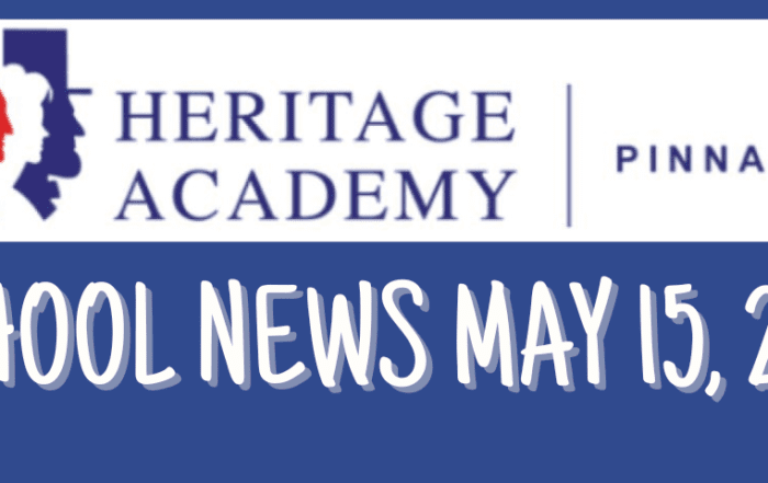 pinnacle-newsletter-header-91224-32
