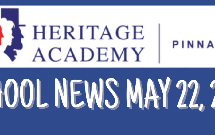 pinnacle-newsletter-header-91224-33
